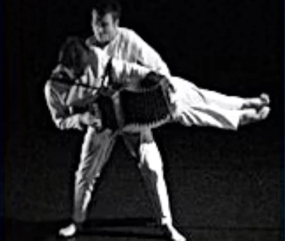 spectacle de danse avec musique avec Christian oller qui joue de l accordéon, danseur qui le porte, concert, représentation de danse contemporaine "trace 421"